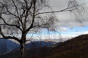 47 Sul sent. 531 salendo alla cima del Monte Costone
